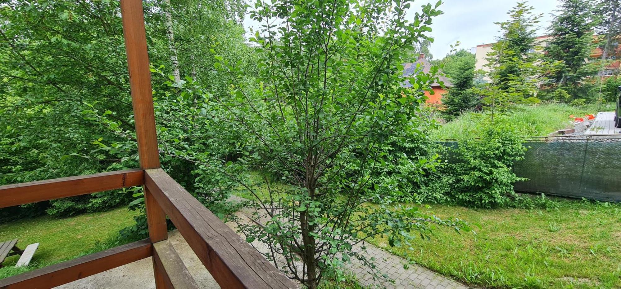 Apartmány Orlová - ubytování v soukromí Exterior foto